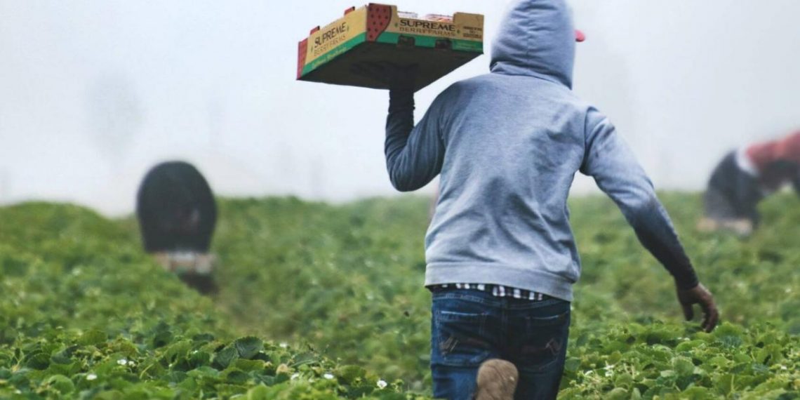 Our Food Systems Need an Overhaul. Here’s How the UN Food Summit Can Help.